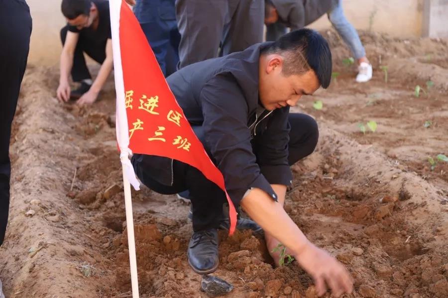 乐发平台注册(中国)官方网站