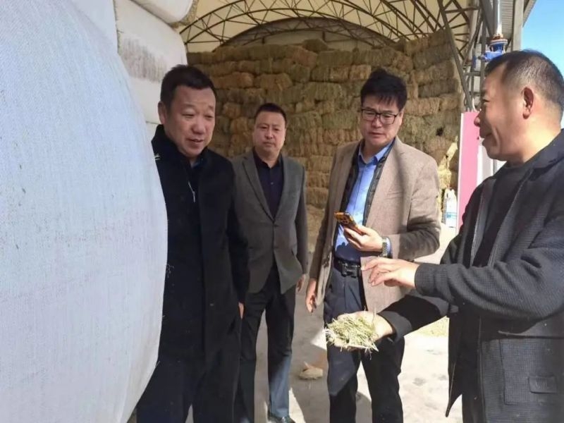 乐发平台注册(中国)官方网站