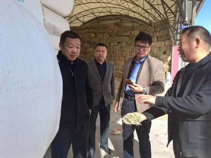 乐发平台注册(中国)官方网站