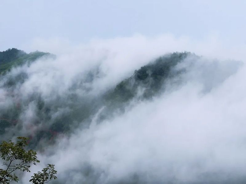 乐发平台注册(中国)官方网站