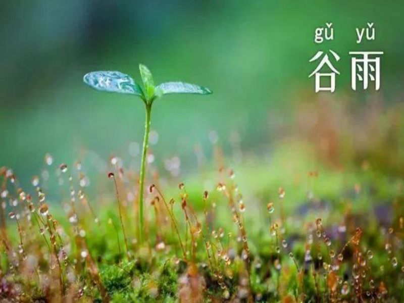 乐发平台注册(中国)官方网站