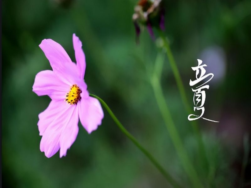 乐发平台注册(中国)官方网站