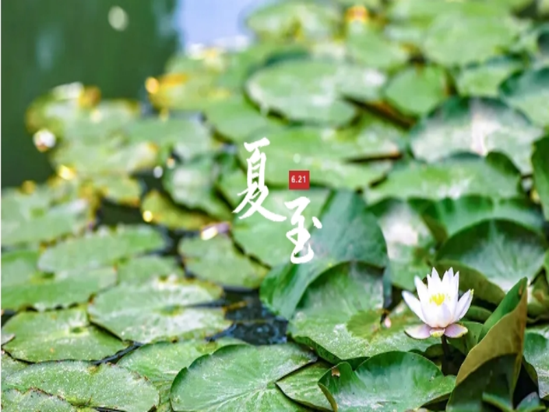 乐发平台注册(中国)官方网站