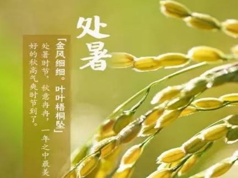 乐发平台注册(中国)官方网站