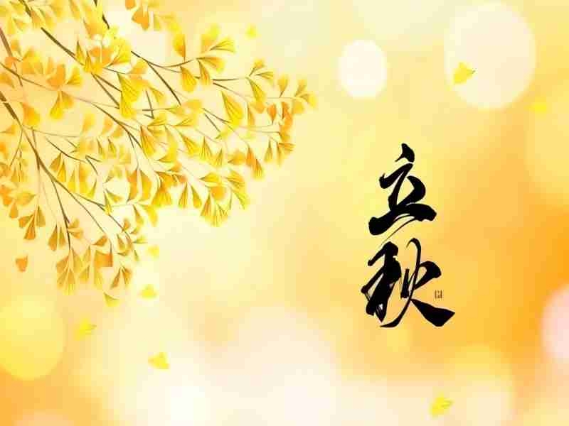 乐发平台注册(中国)官方网站