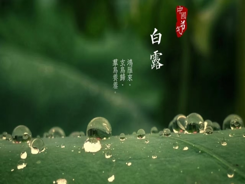 乐发平台注册(中国)官方网站