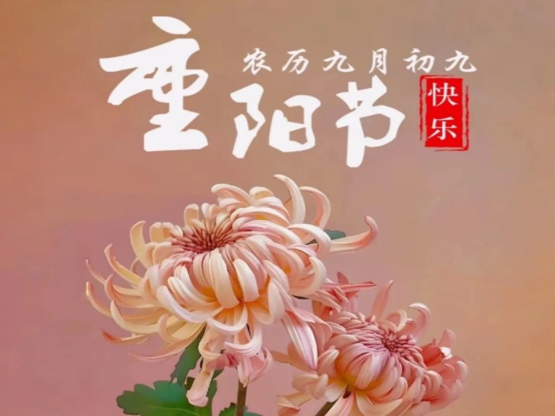 乐发平台注册(中国)官方网站
