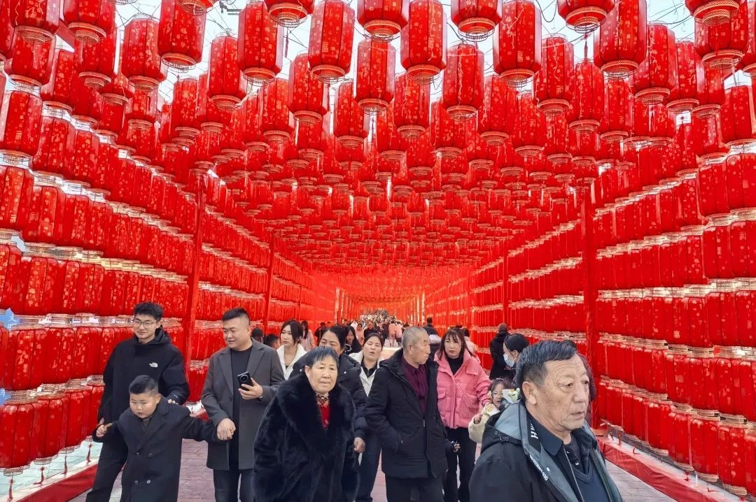乐发平台注册(中国)官方网站