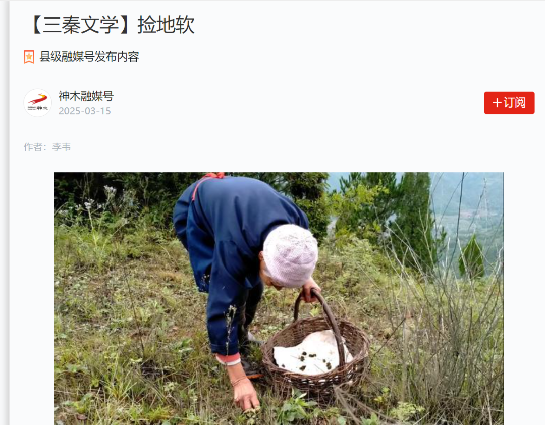 乐发平台注册(中国)官方网站