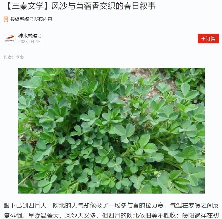 乐发平台注册(中国)官方网站
