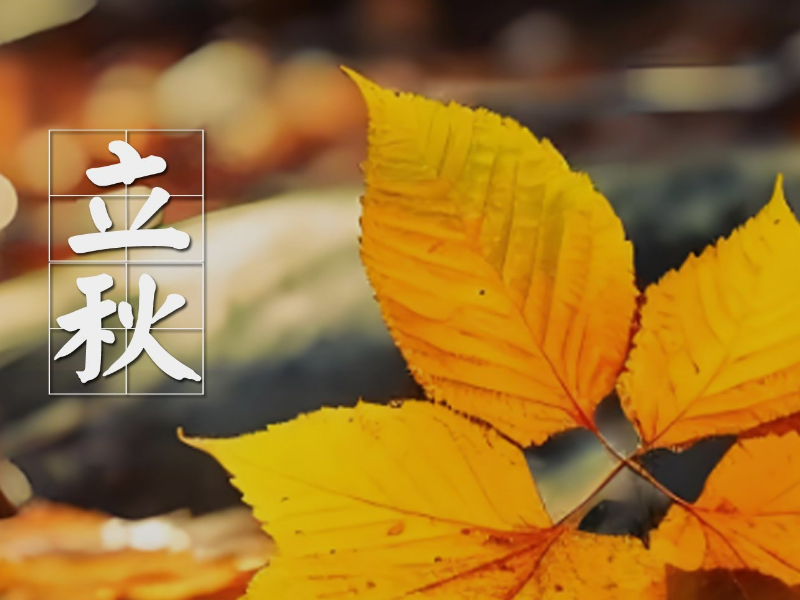 乐发平台注册(中国)官方网站