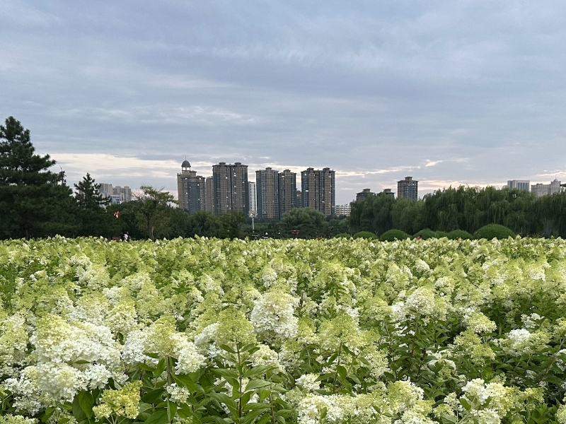 乐发平台注册(中国)官方网站