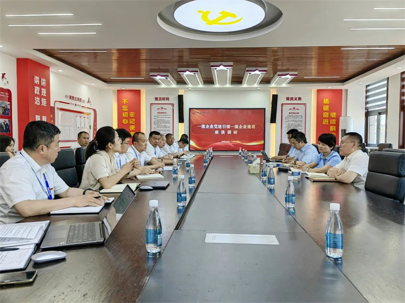 公司向导班子成员到所属单位开展专题调研.jpg