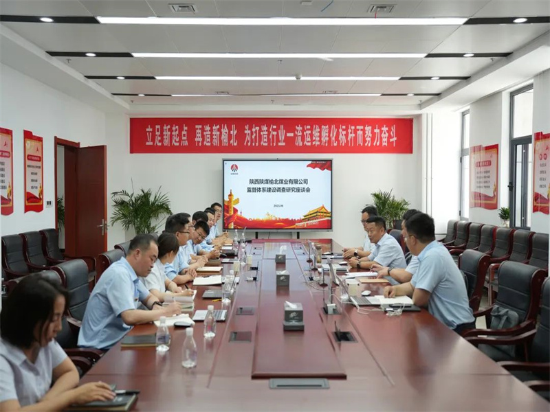 公司向导班子成员到所属单位开展专题调研（2）.jpg