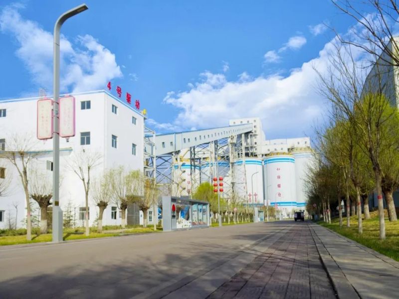 图说榆北-春日里的选煤分公司 陕西陕煤榆北煤业有限公司——官方网站