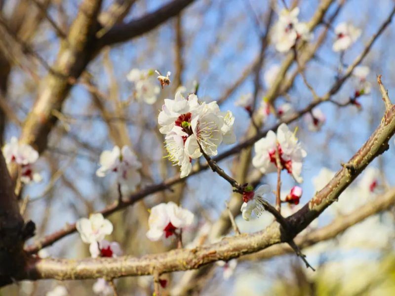 图说榆北-春日里的选煤分公司 陕西陕煤榆北煤业有限公司——官方网站