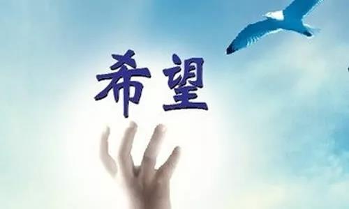 乐发平台注册(中国)官方网站